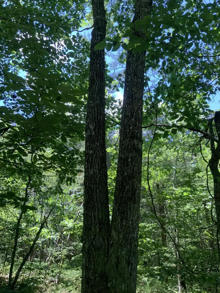 4100 Omega Park Road Somerset KY 42501