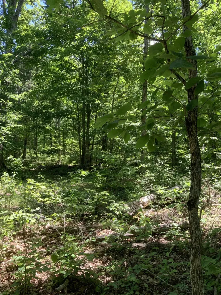 4100 Omega Park Road Somerset KY 42501