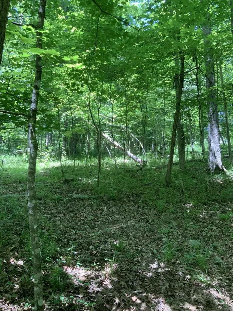 4100 Omega Park Road Somerset KY 42501