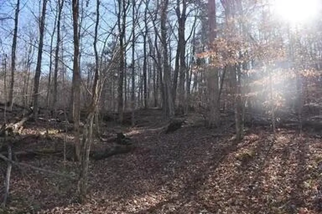 4100 Omega Park Road Somerset KY 42501