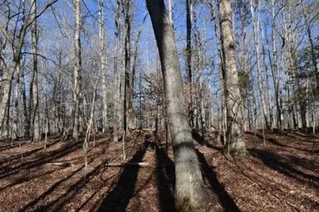 4100 Omega Park Road Somerset KY 42501