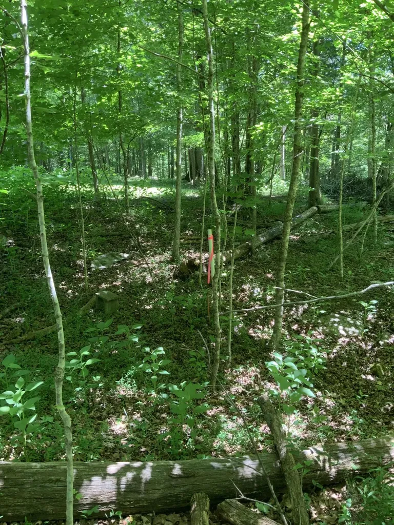 4100 Omega Park Road Somerset KY 42501