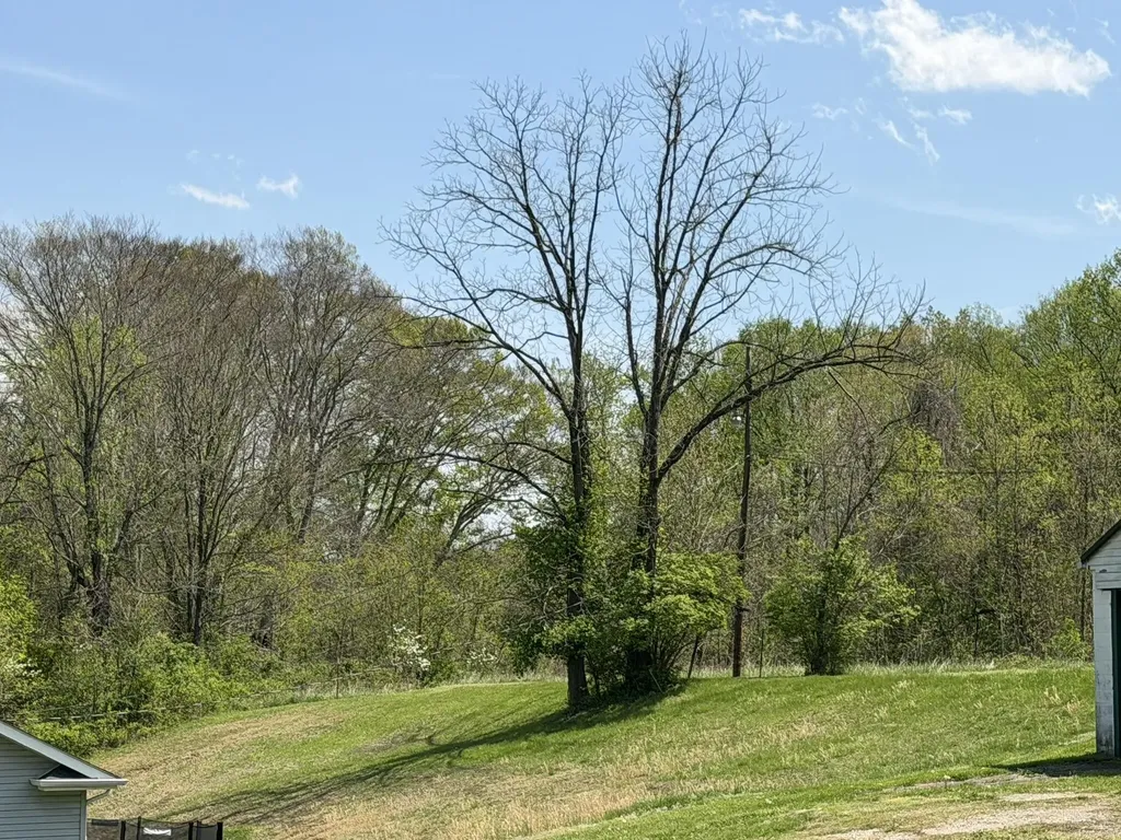0 Pollard Road Ashland KY 41101