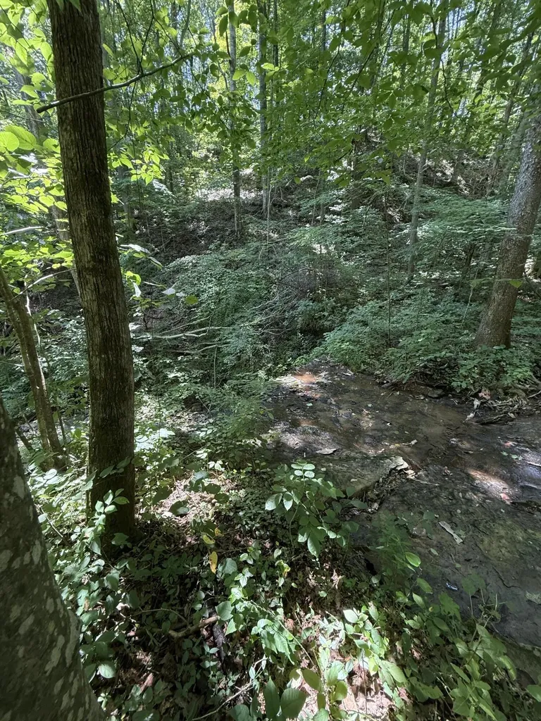 13.7 Acres Flatwoods Road Nancy KY 42544