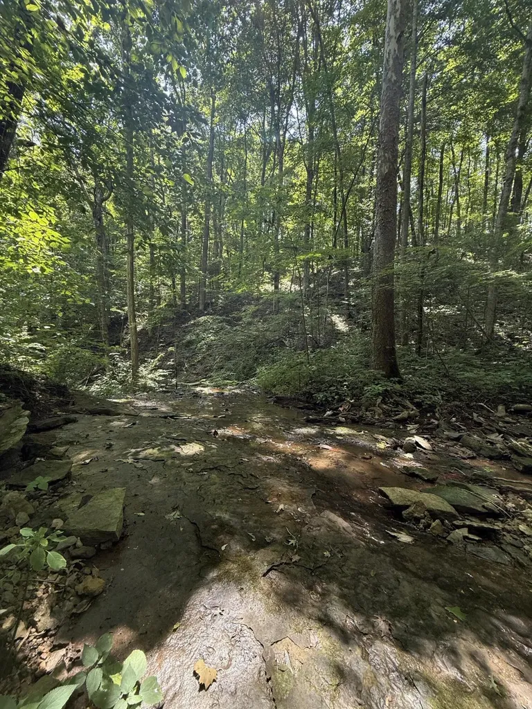 13.7 Acres Flatwoods Road Nancy KY 42544