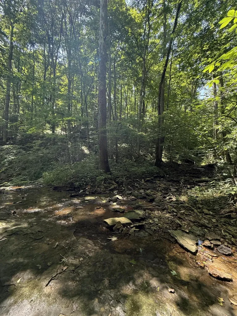 13.7 Acres Flatwoods Road Nancy KY 42544