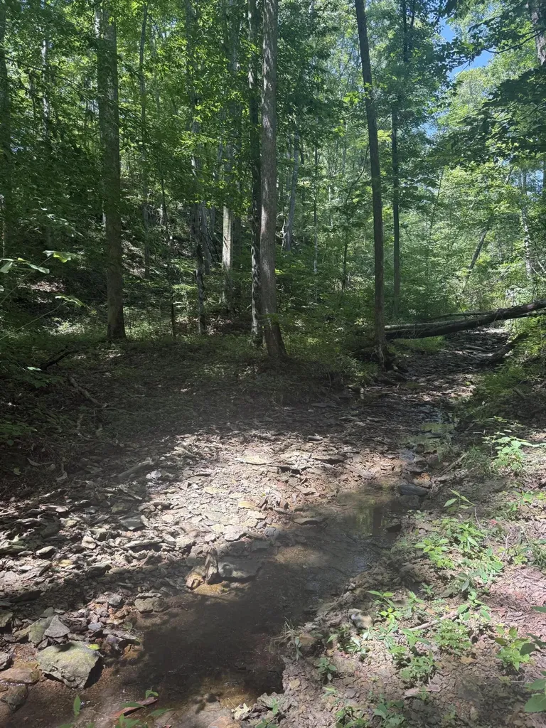 13.7 Acres Flatwoods Road Nancy KY 42544