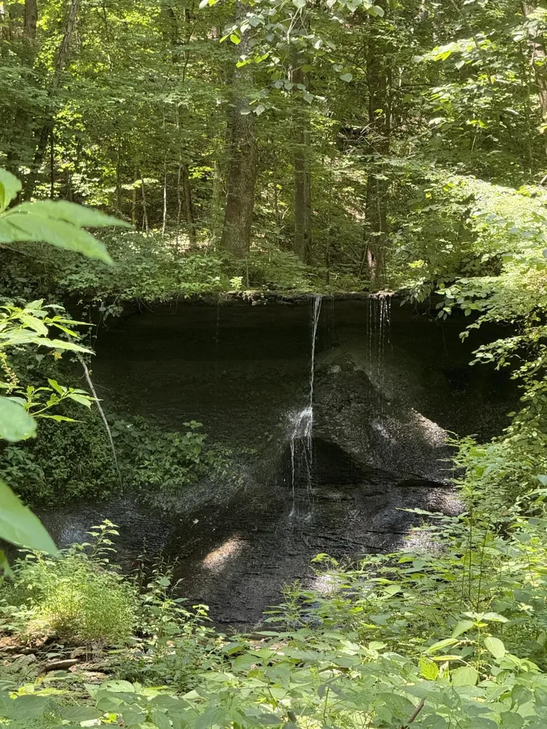 13.7 Acres Flatwoods Road Nancy KY 42544
