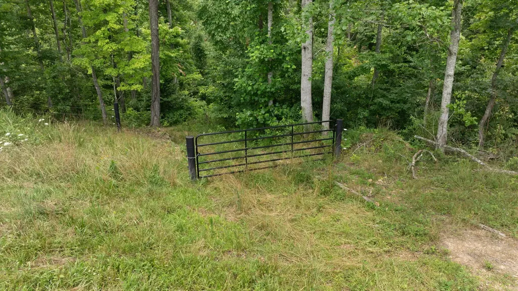 13.7 Acres Flatwoods Road Nancy KY 42544