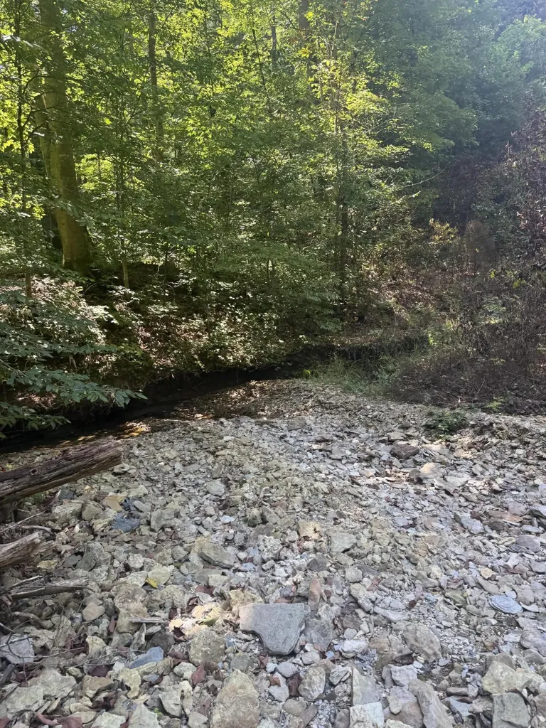 13.7 Acres Flatwoods Road Nancy KY 42544