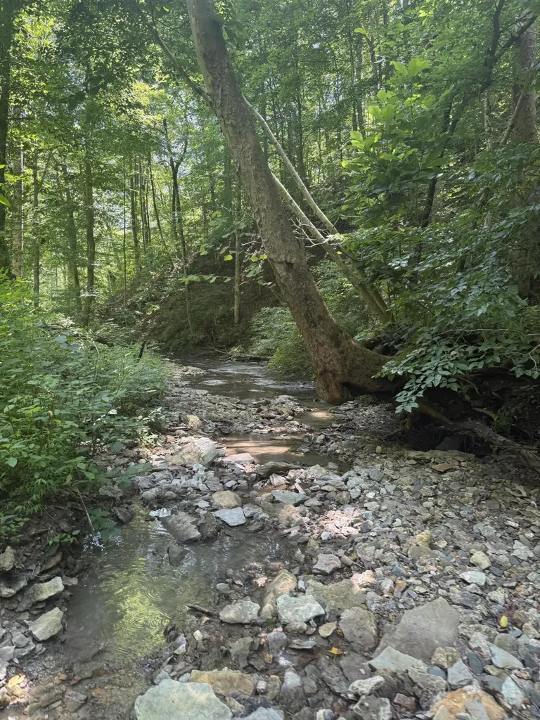 13.7 Acres Flatwoods Road Nancy KY 42544
