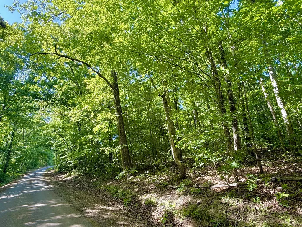 0 Ewing Ridge Road Dunnville KY 42528