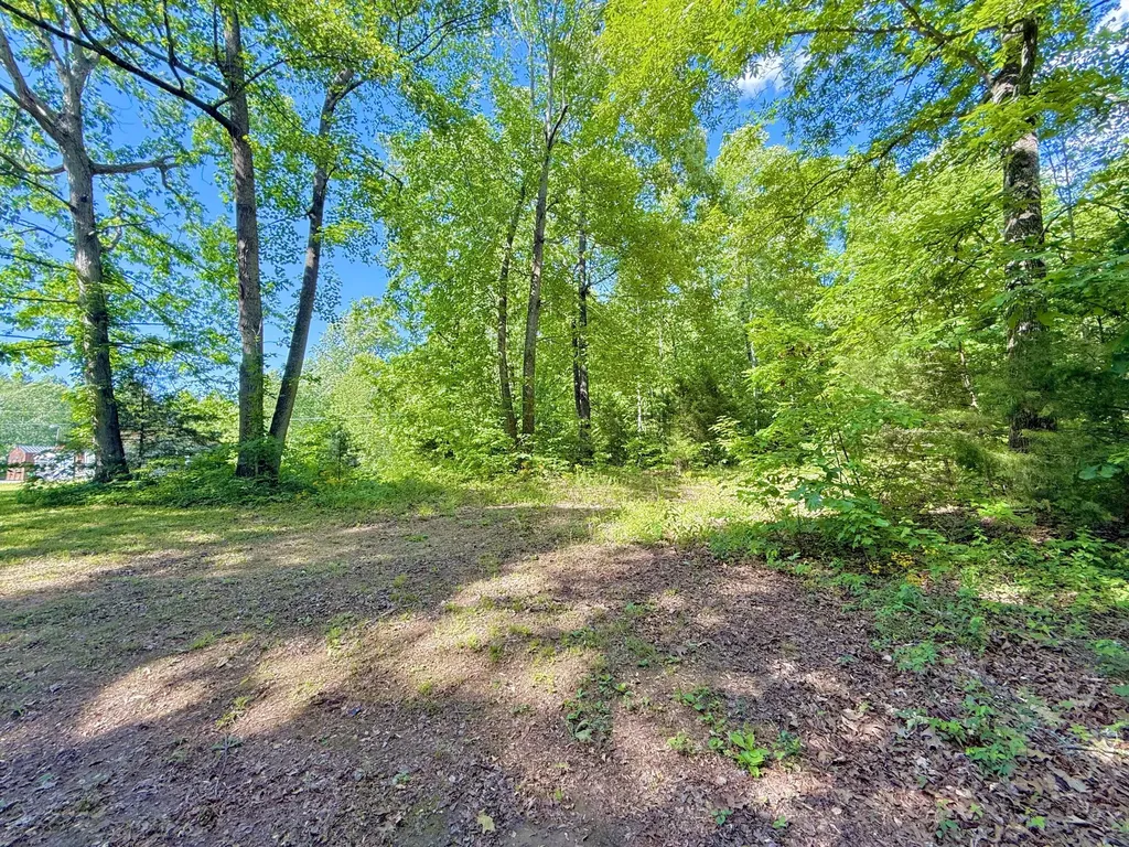 0 Ewing Ridge Road Dunnville KY 42528