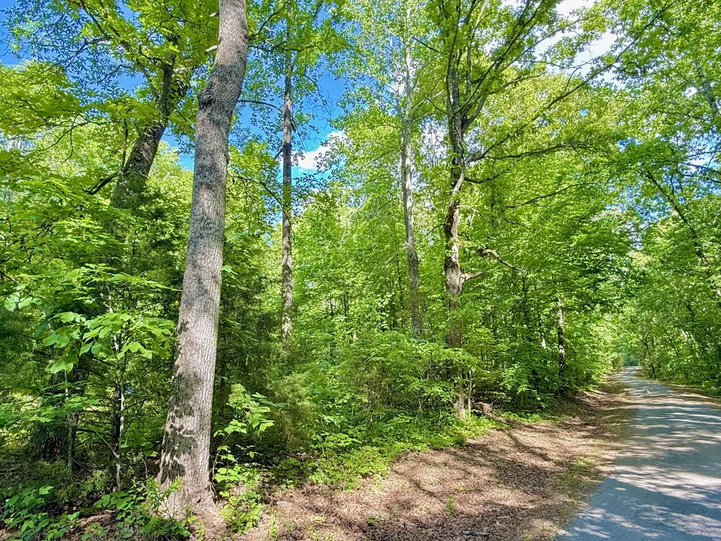0 Ewing Ridge Road Dunnville KY 42528