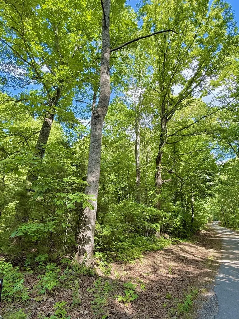 0 Ewing Ridge Road Dunnville KY 42528