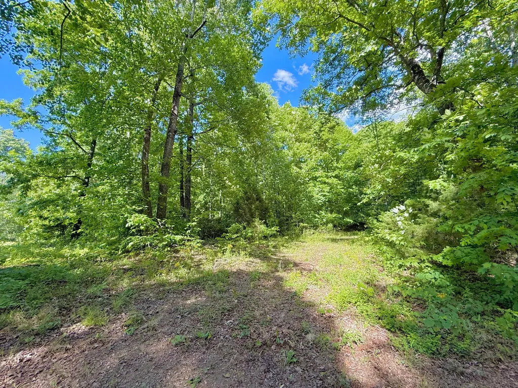0 Ewing Ridge Road Dunnville KY 42528