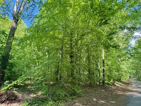 0 Ewing Ridge Road Dunnville KY 42528