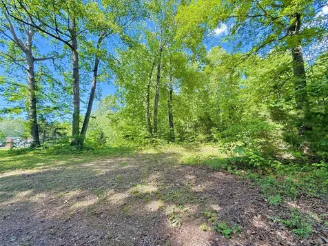 0 Ewing Ridge Road Dunnville KY 42528