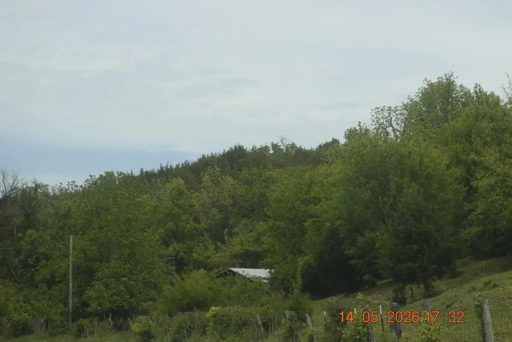 1075 Old Dixville Road Harrodsburg KY 40330