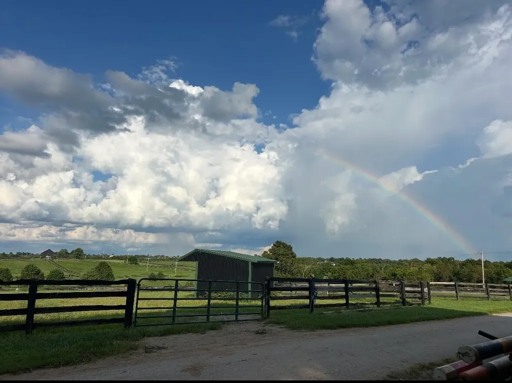 2900 Winchester Road Paris KY 40361