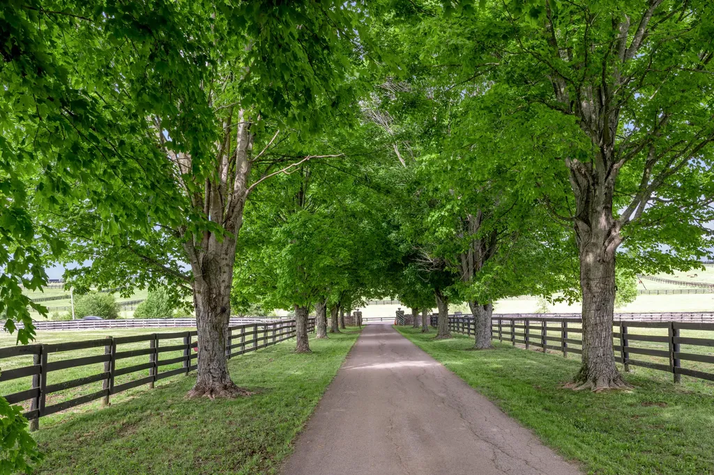 2900 Winchester Road Paris KY 40361