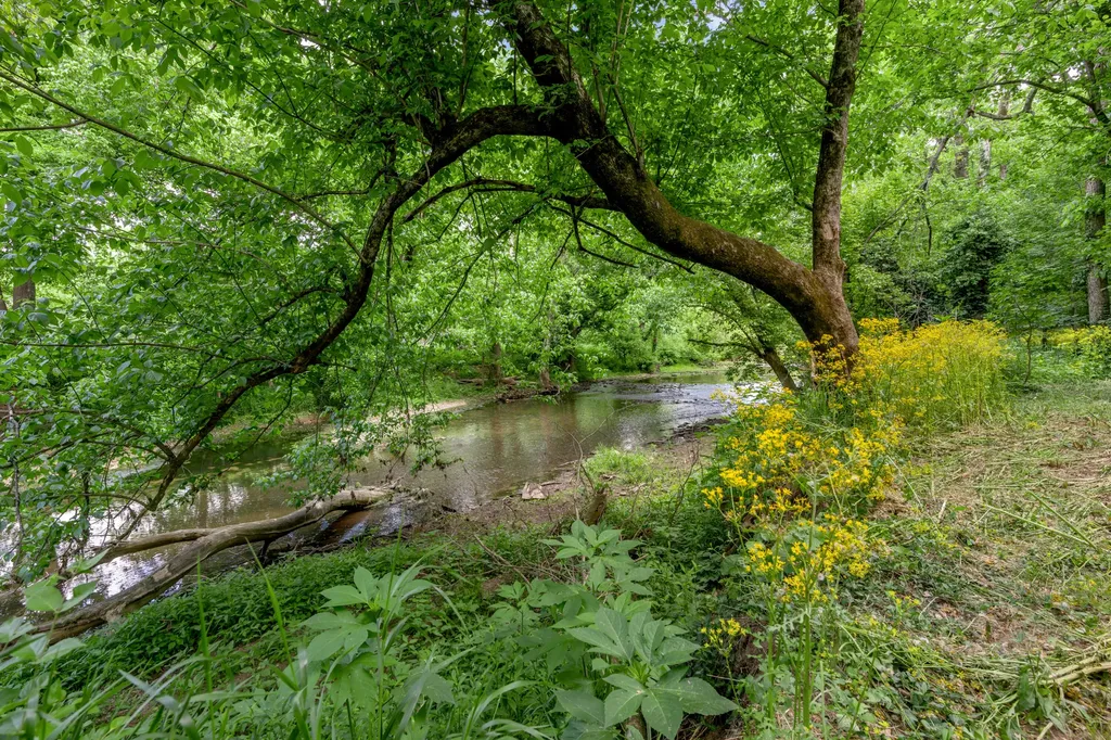 2900 Winchester Road Paris KY 40361