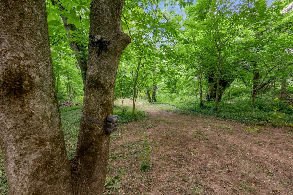 2900 Winchester Road Paris KY 40361