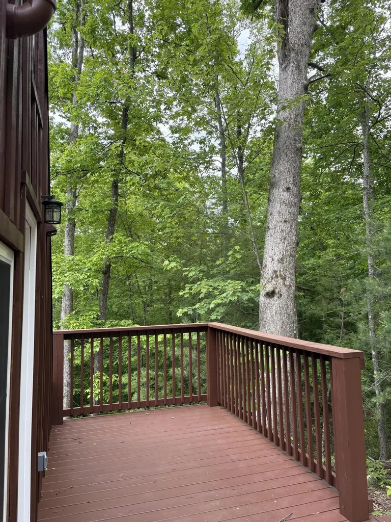 0000 Fincastle Road Rogers KY 41365