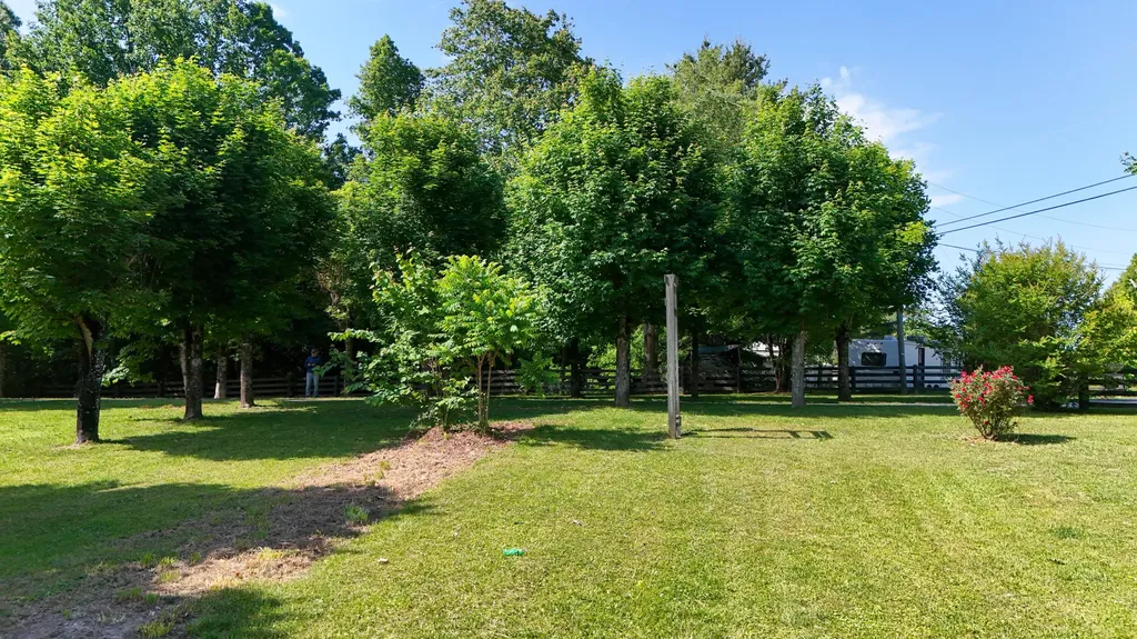 160 Dean King Road Pine Knot KY 42635