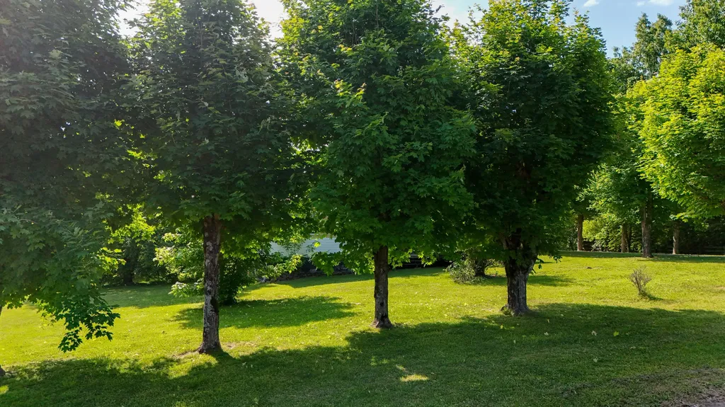 160 Dean King Road Pine Knot KY 42635