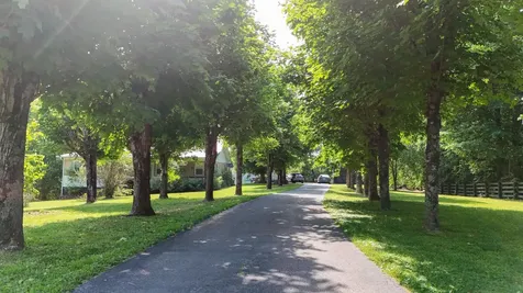 160 Dean King Road Pine Knot KY 42635