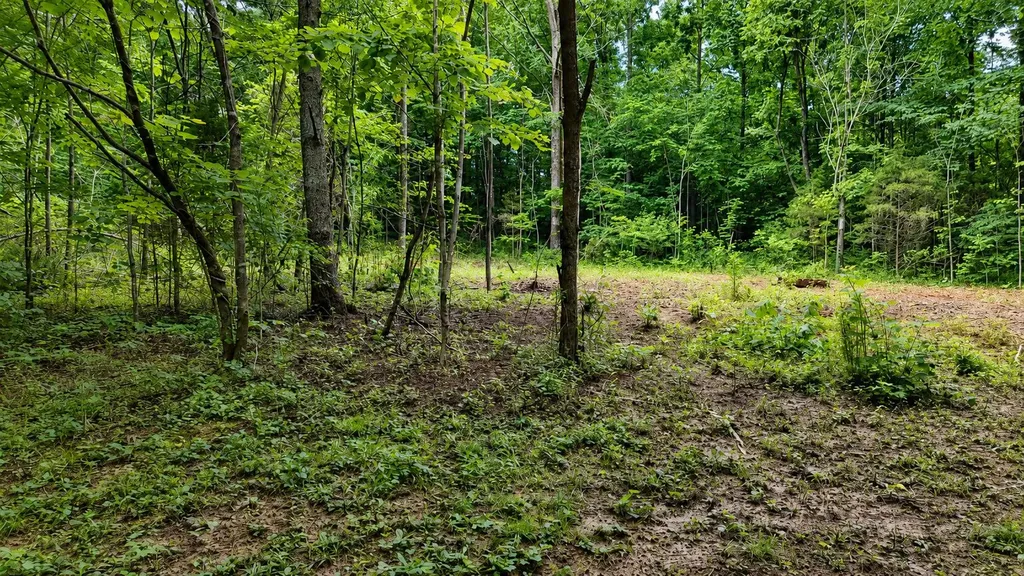 956 Furnace Mountain Road Monticello KY 42633