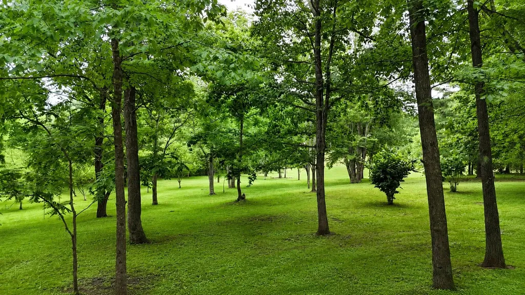956 Furnace Mountain Road Monticello KY 42633