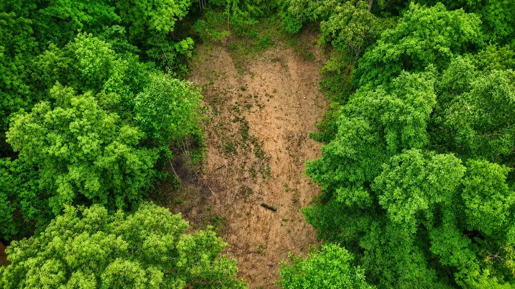 956 Furnace Mountain Road Monticello KY 42633