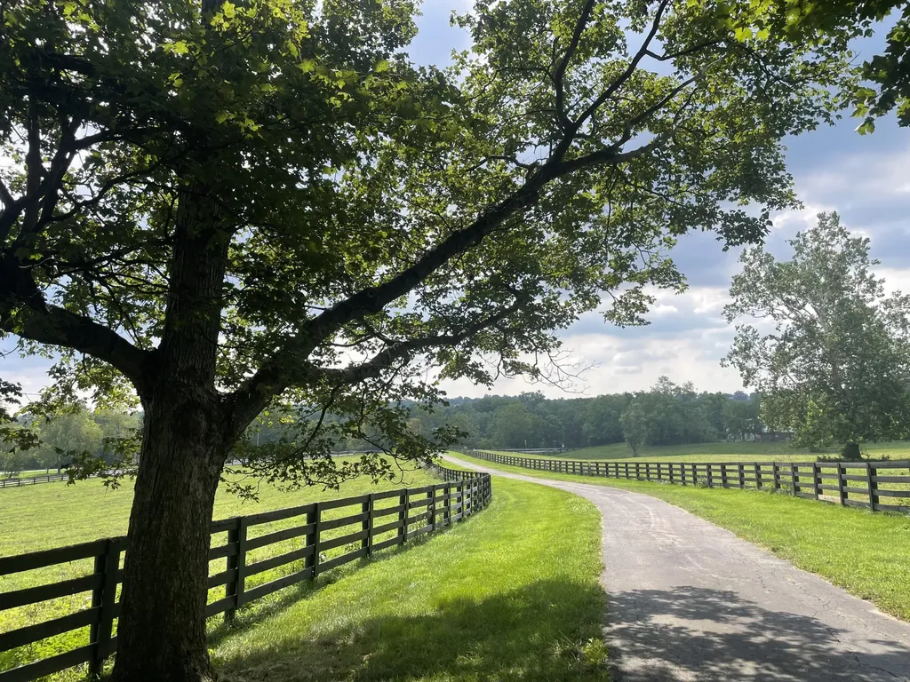231 Kentucky 36 Cynthiana KY 41031