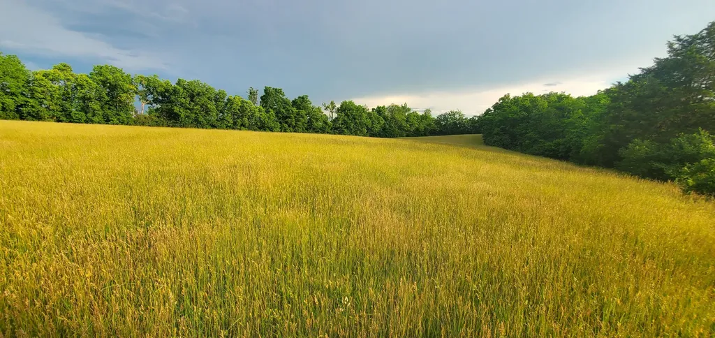 559 Moran Summit Road Richmond KY 40475