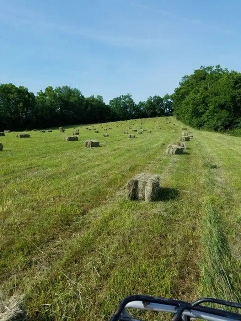 559 Moran Summit Road Richmond KY 40475