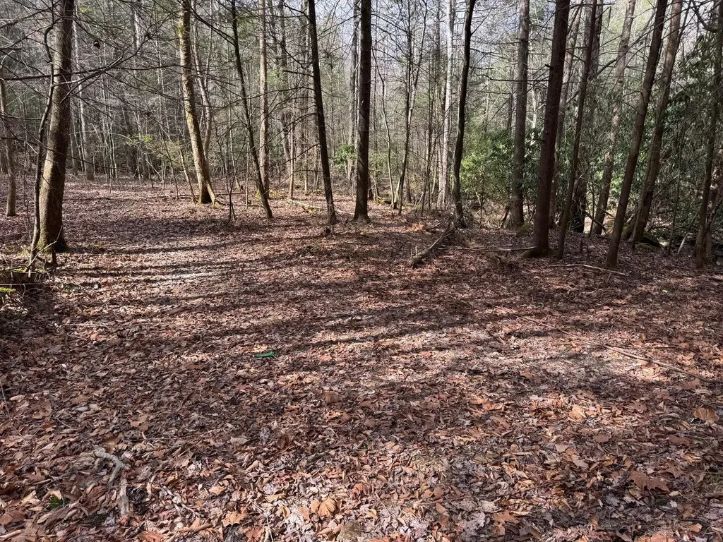 0 Highway 3484 Pineville KY 40977