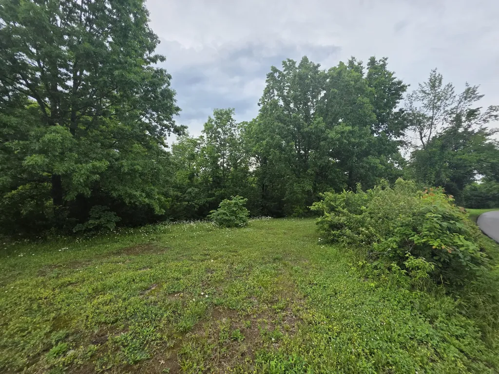 Tract 1 Old Dixville Road Harrodsburg KY 40330