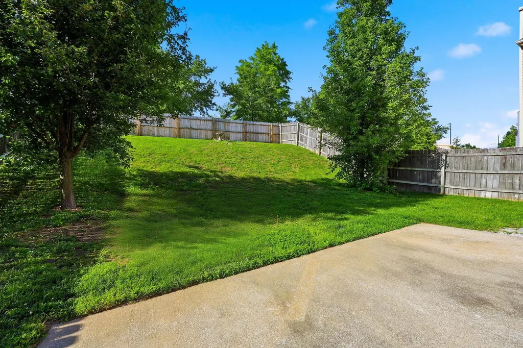 813 Vermillion Peak Pass Lexington KY 40515