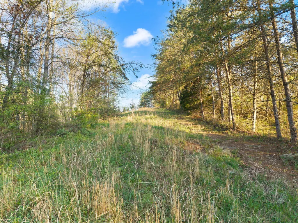 165 Pomeroyton-wellington Road Wellington KY 40387