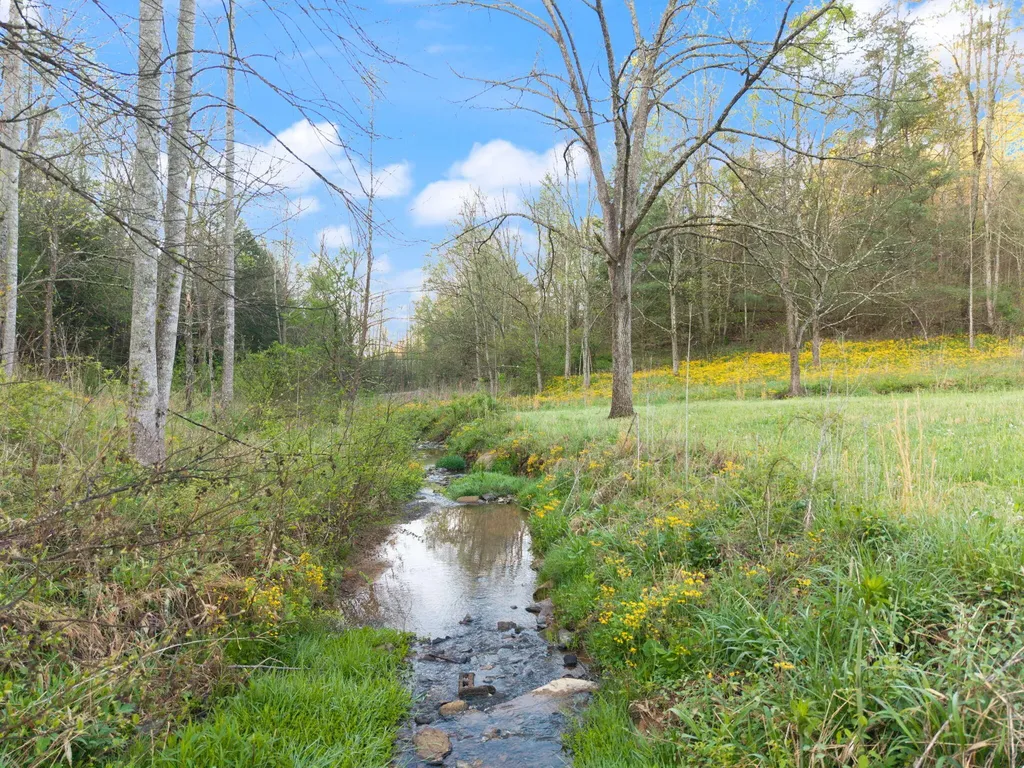 165 Pomeroyton-wellington Road Wellington KY 40387