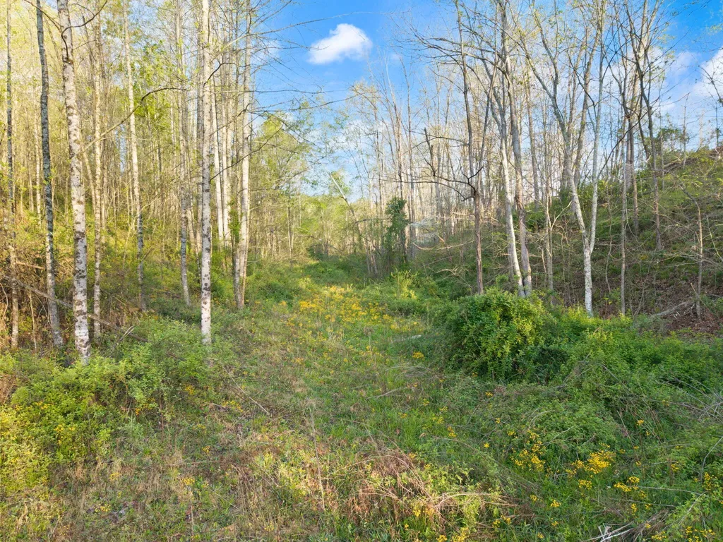 165 Pomeroyton-wellington Road Wellington KY 40387