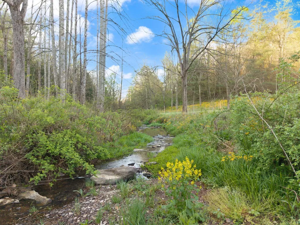 165 Pomeroyton-wellington Road Wellington KY 40387