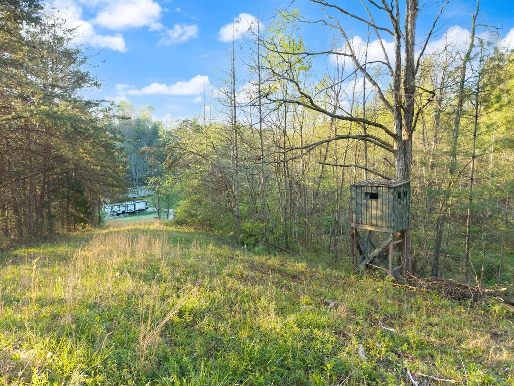165 Pomeroyton-wellington Road Wellington KY 40387