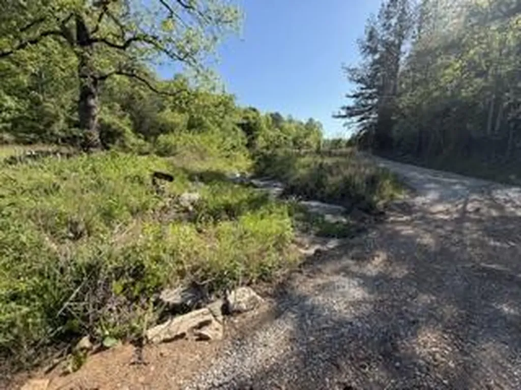 5860 Ky-790 Bronston KY 42518