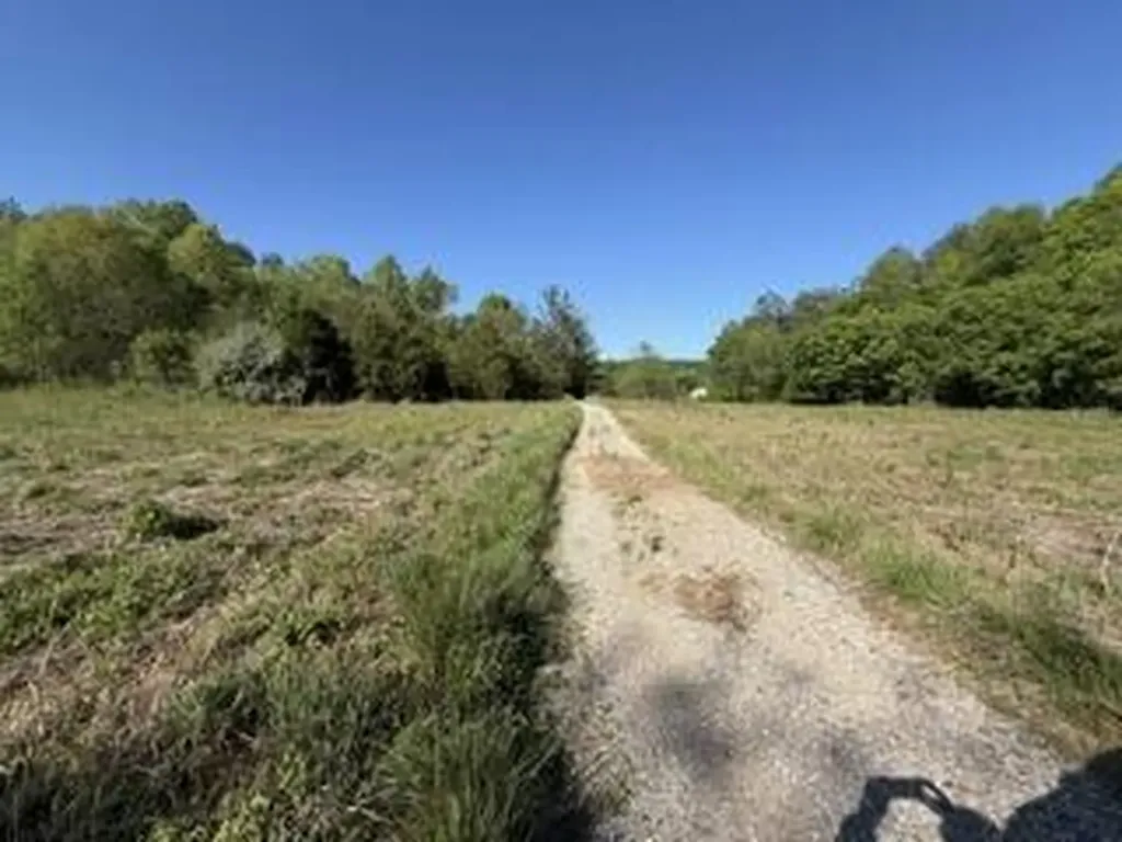 5860 Ky-790 Bronston KY 42518