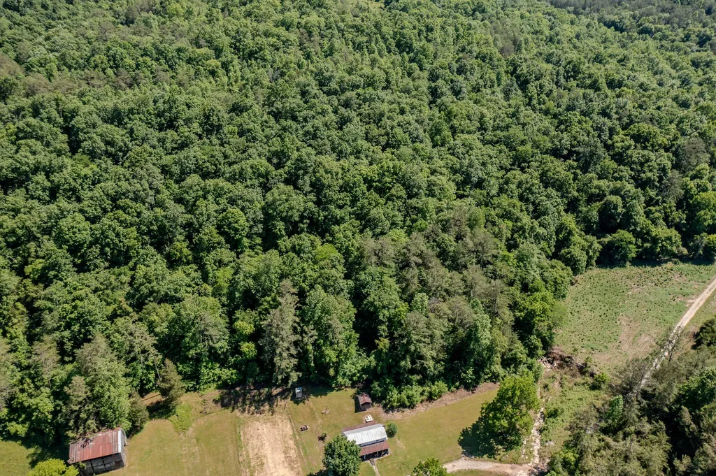 5860 Ky-790 Bronston KY 42518