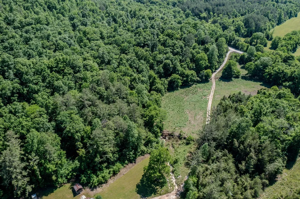 5860 Ky-790 Bronston KY 42518