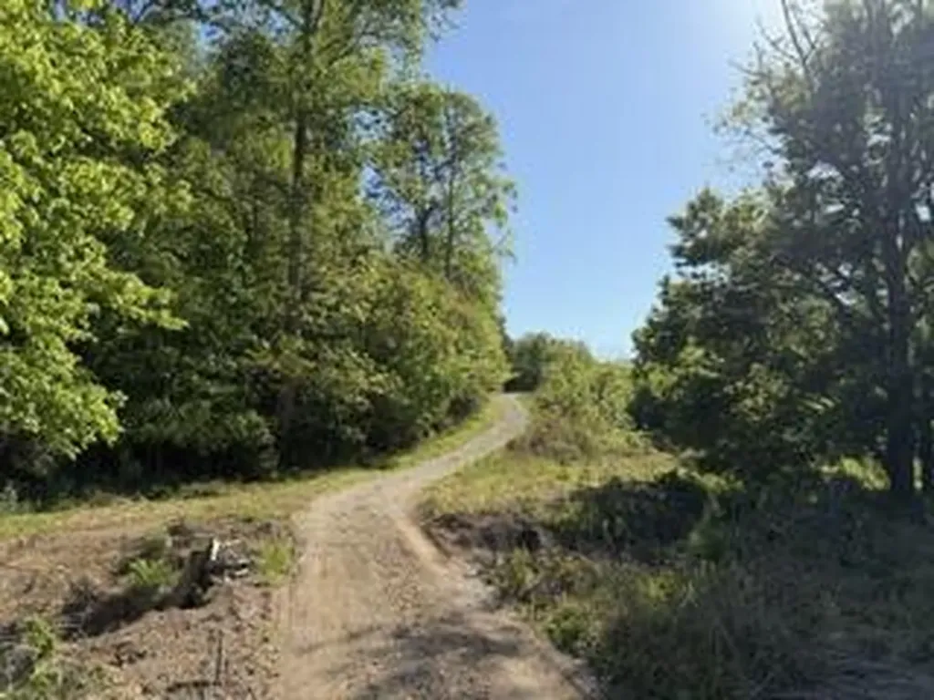 5860 E Kentucky 790 Bronston KY 42518